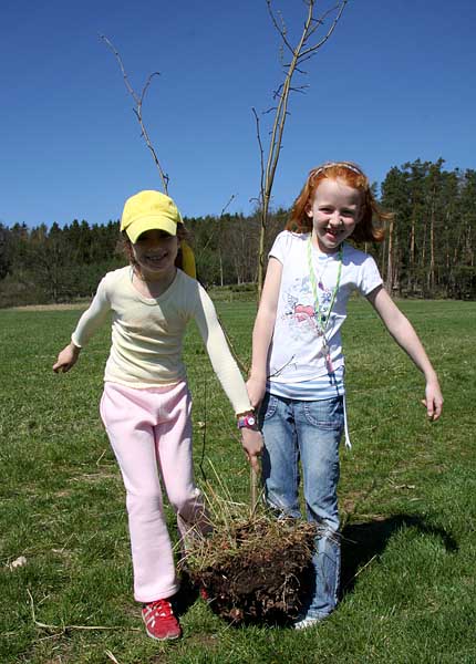 děti sází stromy